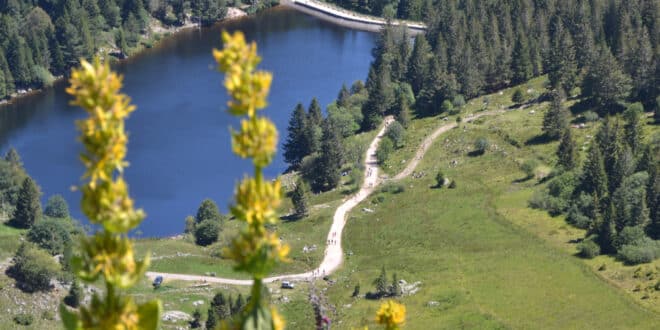 Lac du Forlet