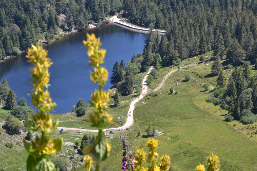 Lac du Forlet, Wandelingen in de Elzas