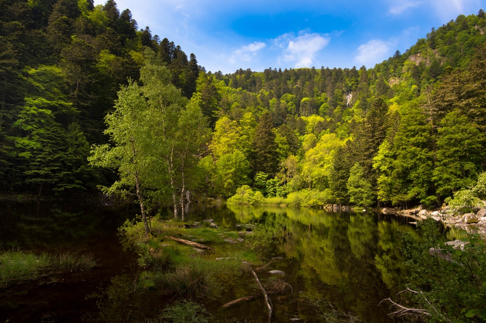 shutterstock 1094190032, Wandelingen in de Elzas