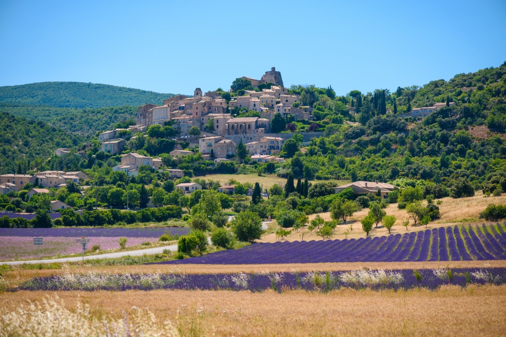 Saint Saturnin les Apt lavendelveld provence shutterstock 1238385019, lavendelvelden Provence