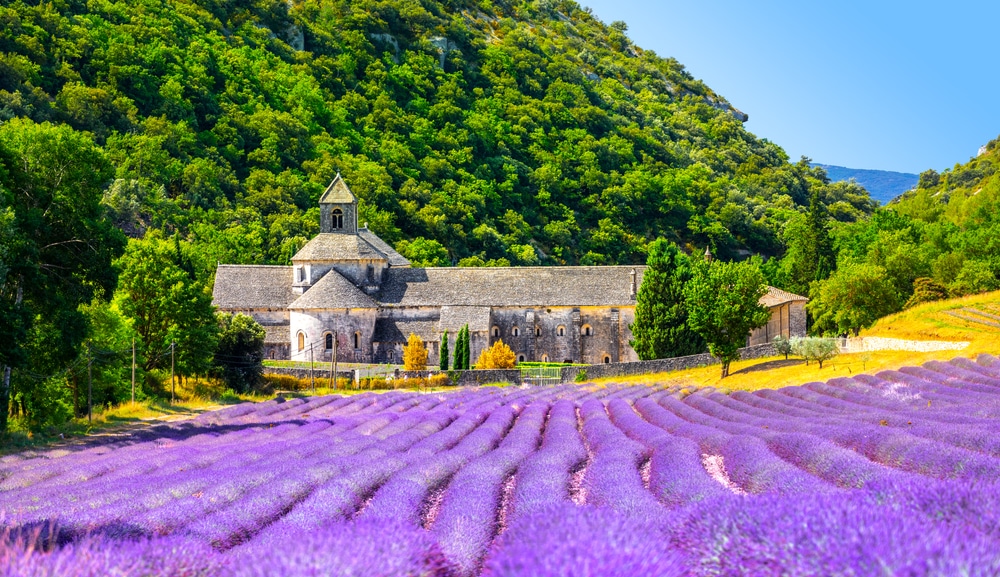 Senanque Abbey Gordes Provence Frankrijk shutterstock 1932221996, lavendelvelden Provence