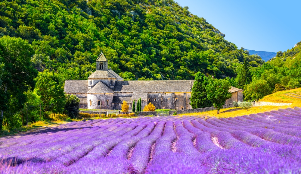 Senanque Abbey Gordes Provence Frankrijk shutterstock 1932221996, lavendelvelden