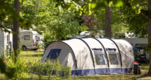 Camping Du Lac Marcillac La Croisille 17 310x165, Zininfrankrijk.nl