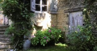 Natuurhuisje in Fouvent le Bas header, Bourgogne
