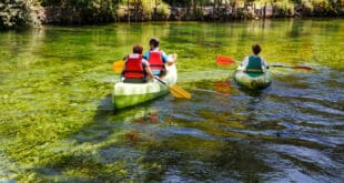 Rivier de Sorgue, 10 mooiste meren en zwemplekken in de Provence