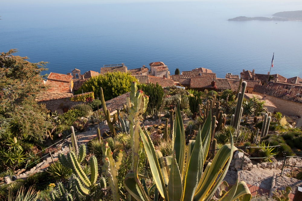 Jardin Exotique dEze, Èze