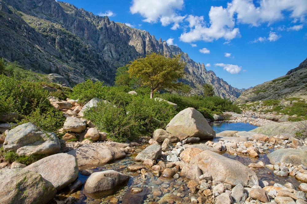 Restonica vallei Corsica Frankrijk shutterstock 2289847893, Corte