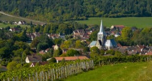Les Riceys Cote des Bars Champagenstreek shutterstock 425728789, bijzonder overnachten in de Champagnestreek
