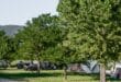 onlycamp Tuilleres camping 2, Kastelen
