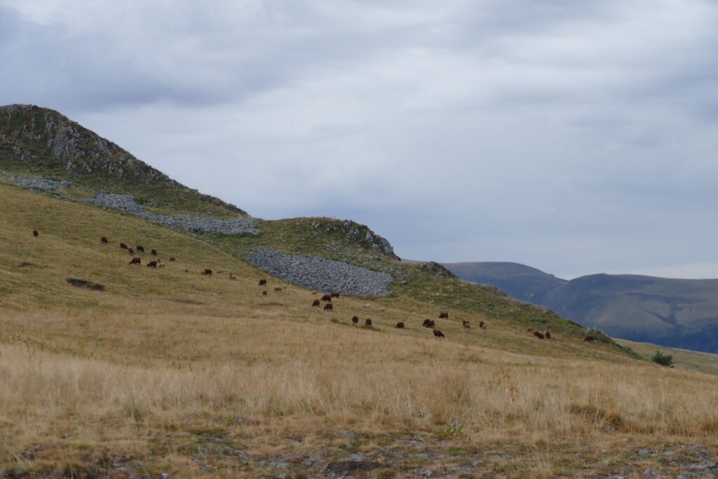 wandelroutes in de cantal
