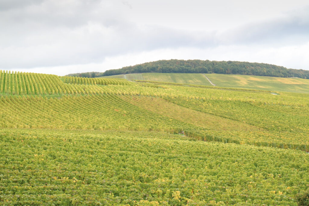 fietsroutes in de champagnestreek