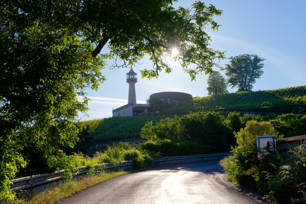 fietsroutes in de champagnestreek