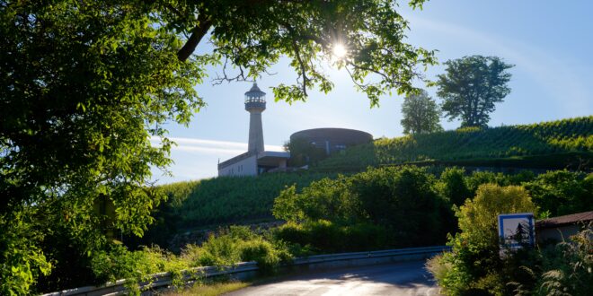 Montagne de Reims, fietsroutes in de champagnestreek